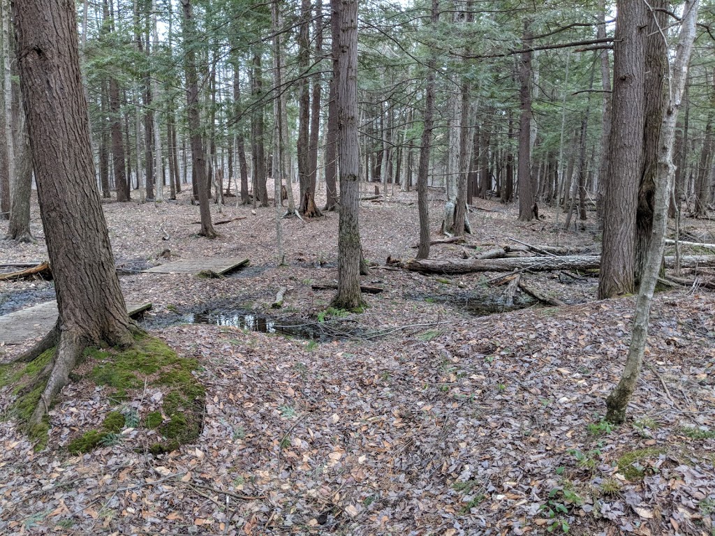 Dewberry Trail | Dolman Ridge Rd, Orléans, ON K1C 7G4, Canada