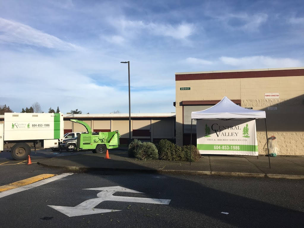 Central Valley Tree & Arborist Services LTD. | 933 Coutts Way, Abbotsford, BC V2S 7M2, Canada | Phone: (604) 853-1986