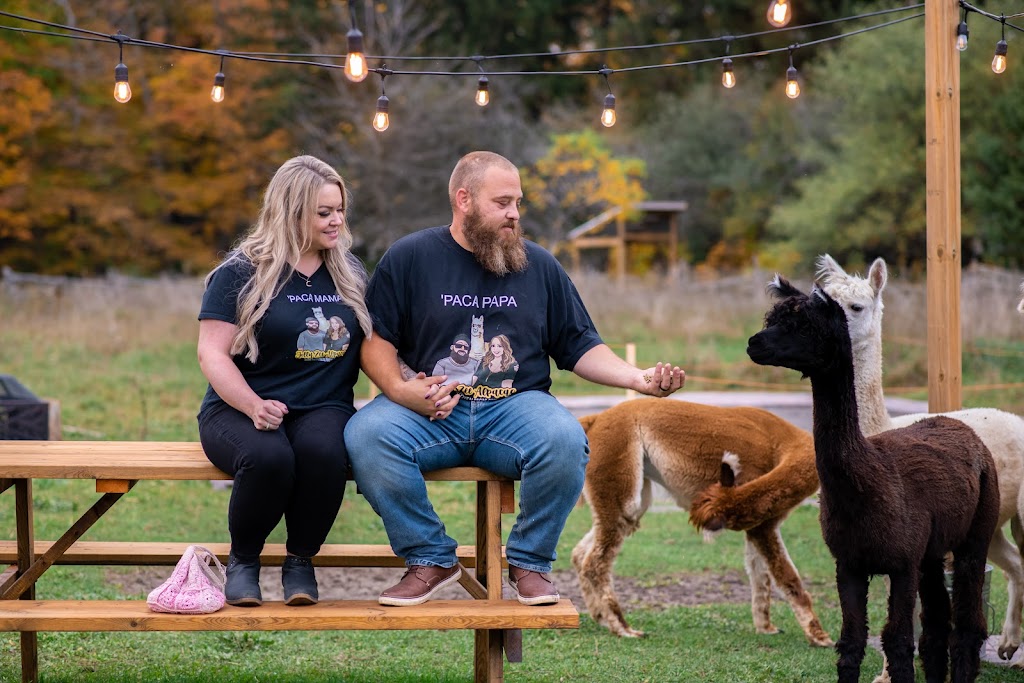 Jolly Zee Alpacas | 18692 Hurontario St, Caledon Village, ON L7K 0Y1, Canada | Phone: (905) 805-4356