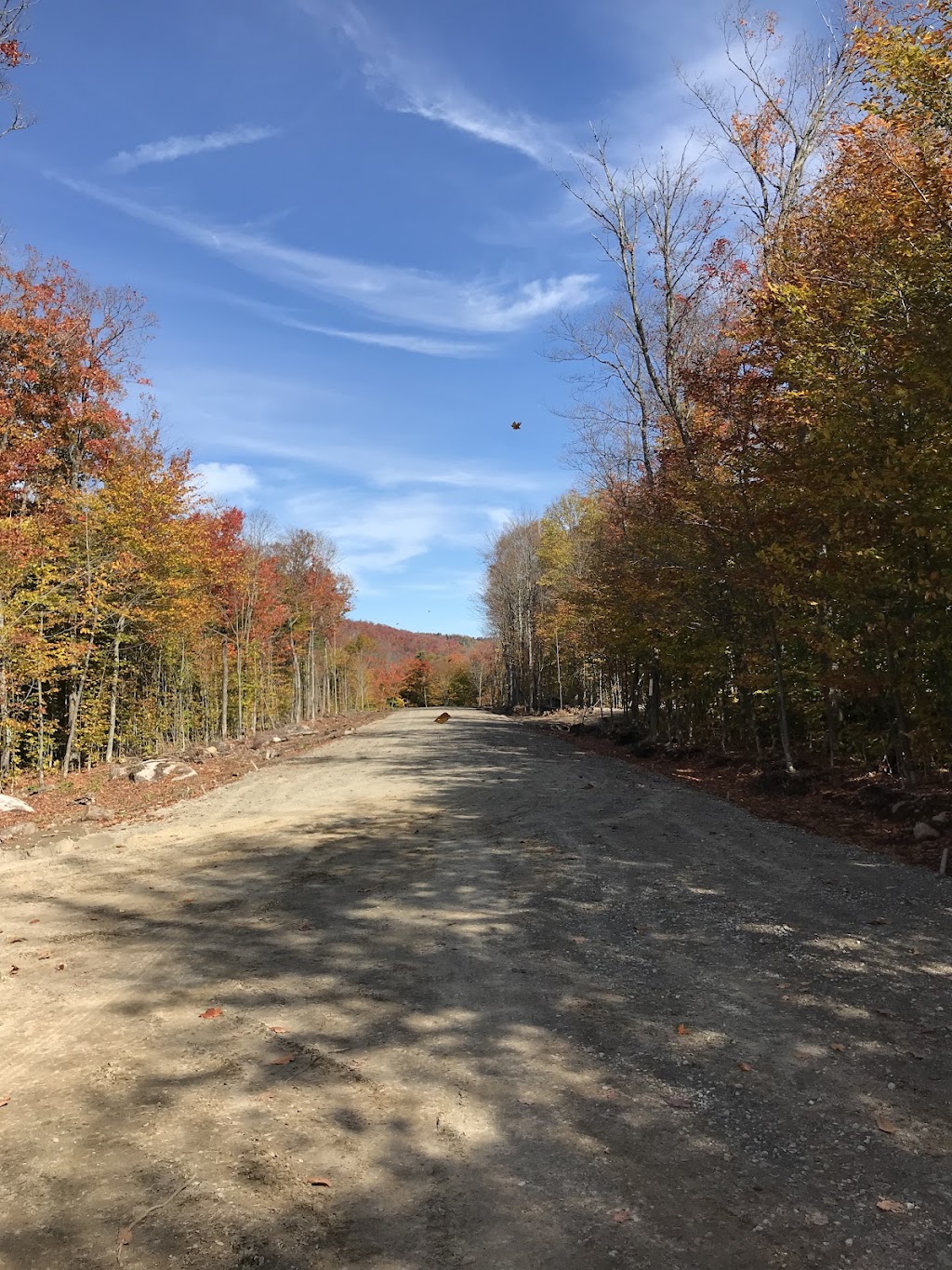 Le boisé du lac Ouareau | 1056 Chemin Marie-Anne, 1056 Chemin des Bois-Francs, Notre-Dame-de-la-Merci, QC J0T 2A0, Canada | Phone: (514) 978-6234