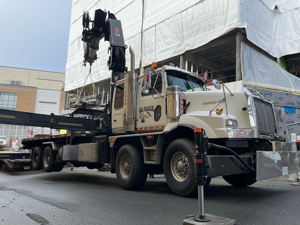 49th parallel cranes | 3232 Frechette St, Victoria, BC V8P 4N7, Canada | Phone: (250) 797-9625