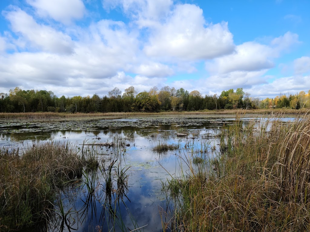 HR Frink Conservation Area and Outdoor Education Centre | 381 Thrasher Rd, Plainfield, ON K0K 2V0, Canada | Phone: (613) 968-3434