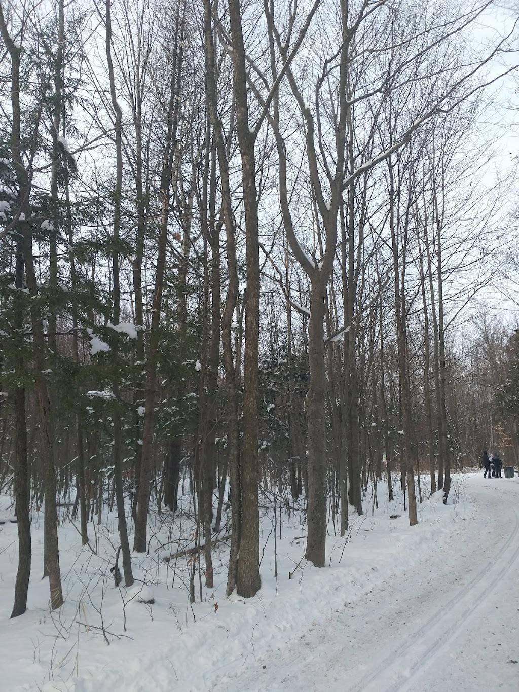 Parc Les Salines | 5330 Rue Martineau, Saint-Hyacinthe, QC J2R 1T8, Canada | Phone: (450) 253-5082