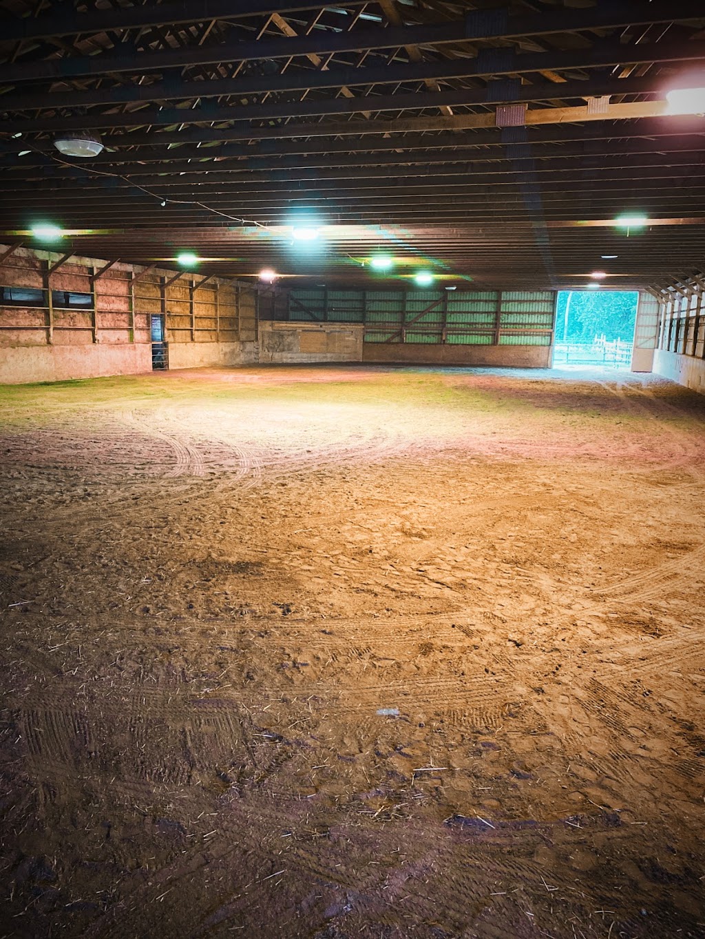 Westfall Horse Co. | 15149 Zone Centre Line, Bothwell, ON N0P 1C0, Canada | Phone: (519) 401-8939