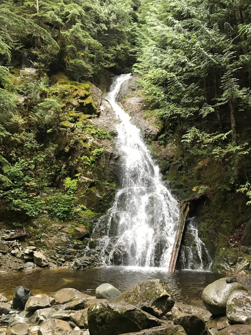 Sawblade Trail | Sawblade Trail, Coquitlam, BC V3E, Canada