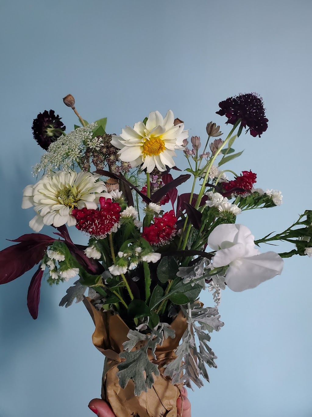 Flowers on King | 102 King St, Woodville, ON K0M 2T0, Canada | Phone: (905) 626-7928
