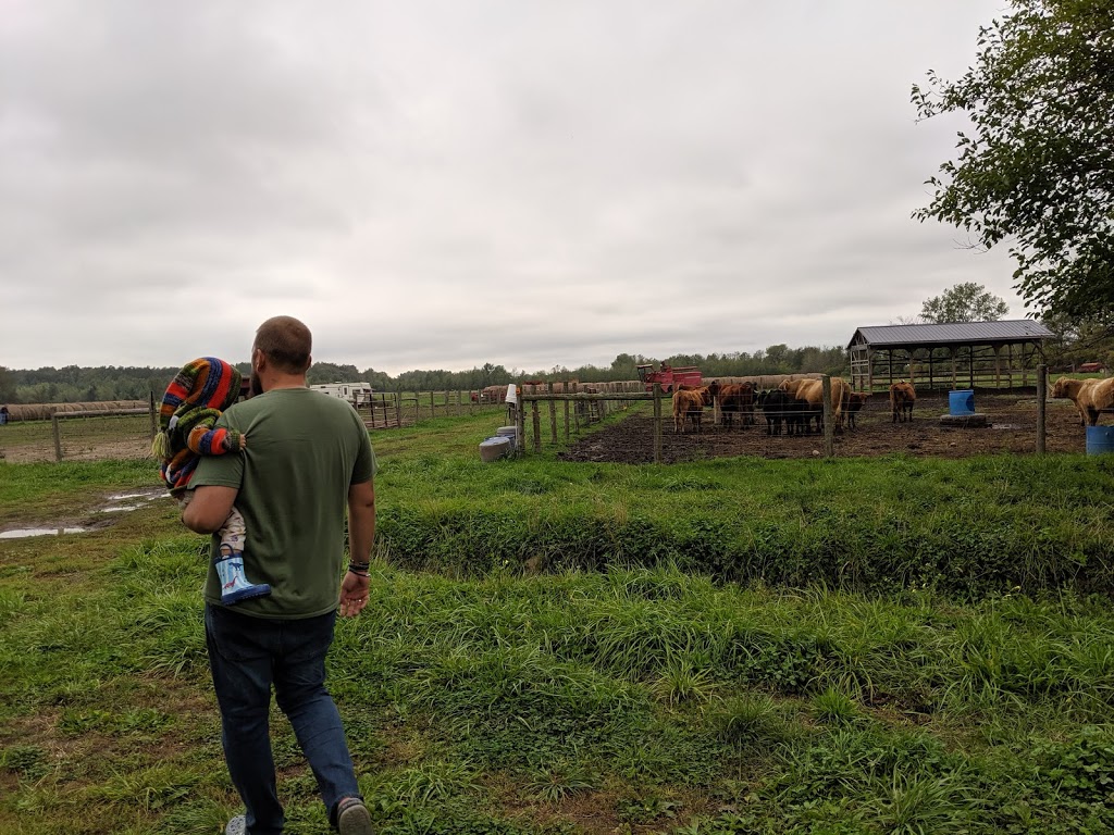 Our Farm Organics | 284E County Rd 34, Cottam, ON N0R 1B0, Canada | Phone: (519) 839-6045