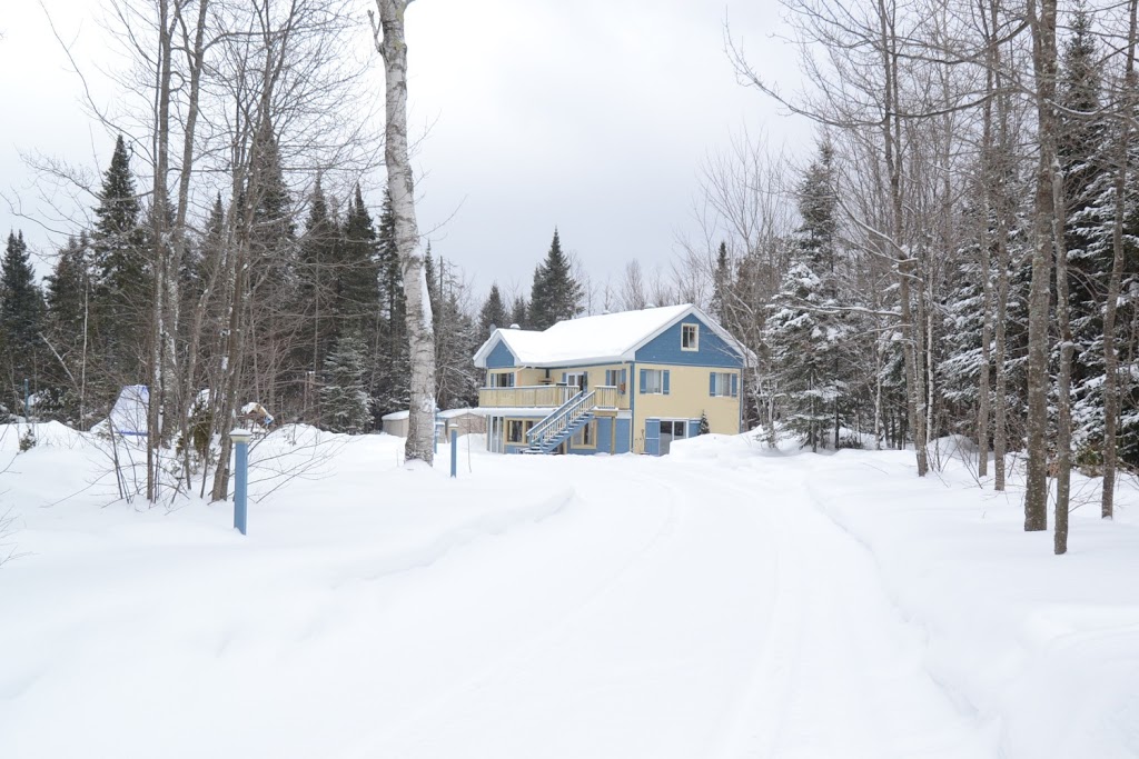 Céline Foley courtier immobilier RE/MAX ACTION | 8280 Bd Champlain, LaSalle, QC H8P 1B5, Canada | Phone: (514) 592-9756