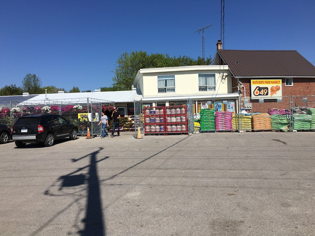 Naturipe Food Market Inc | 239 Portage Rd, Bolsover, ON K0M 1B0, Canada | Phone: (705) 426-5324