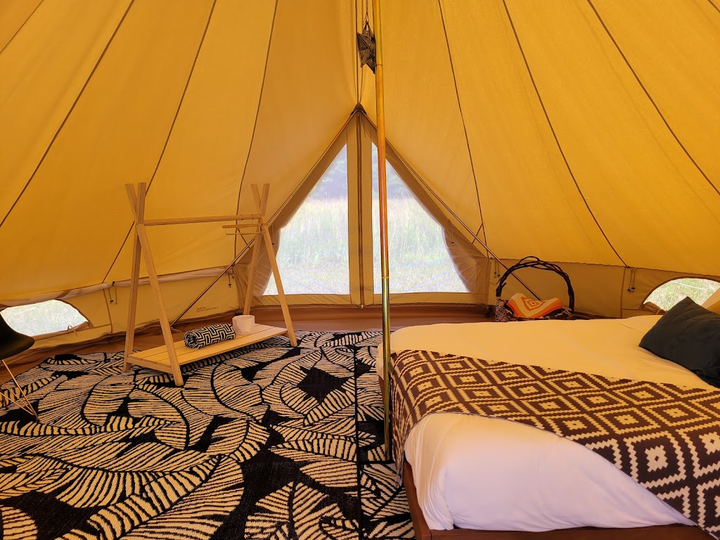 Bubble Grove | 576799 Concession Rd 9, Chatsworth, ON N0H 1G0, Canada | Phone: (519) 447-4474