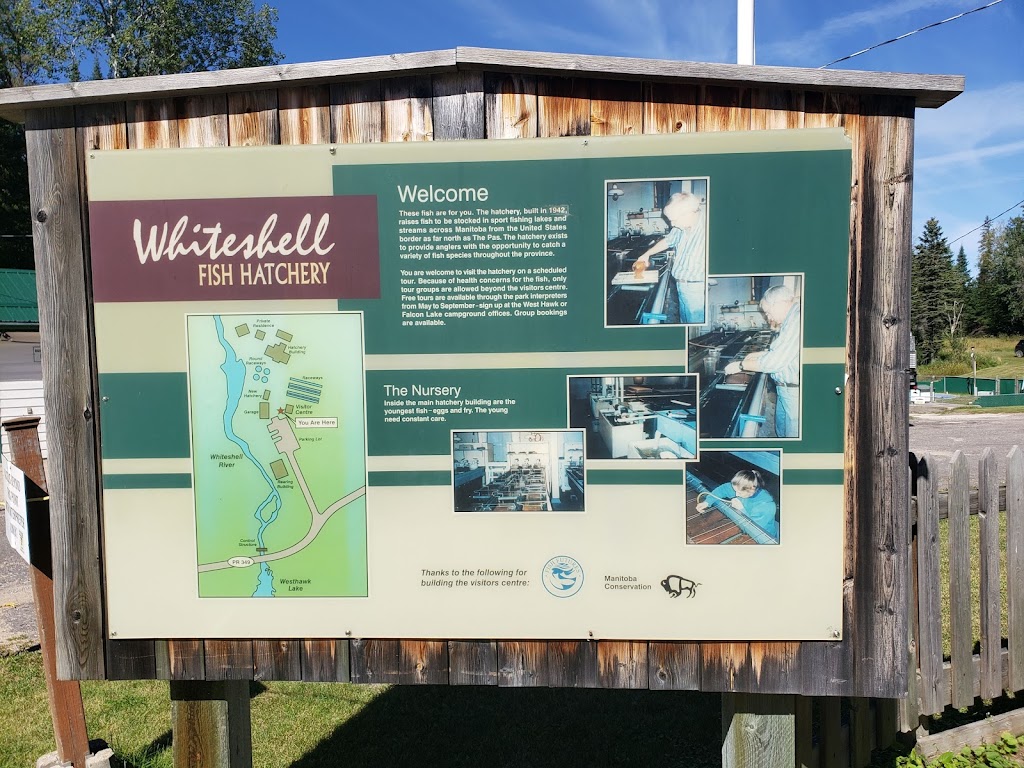 Whiteshell Fish Hatchery | MB-312, Whiteshell, MB R0E 2H0, Canada | Phone: (204) 369-3157