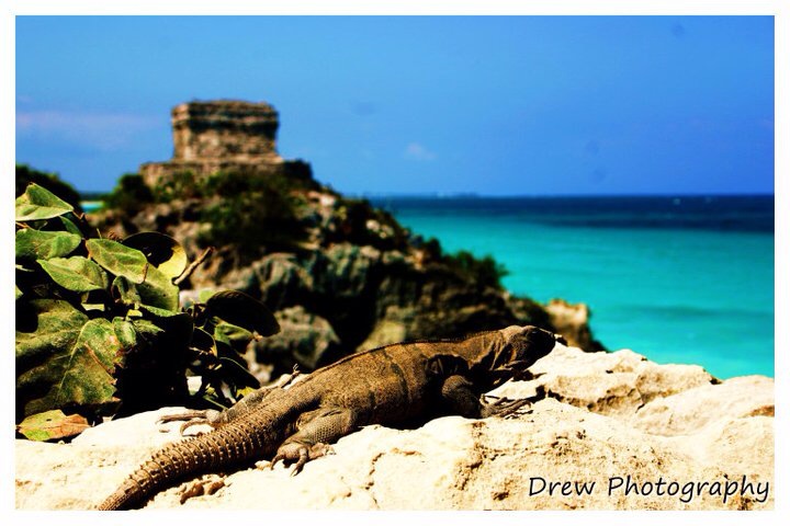 Drew Photography | Georgina St, Sutton West, ON L0E 1R0, Canada | Phone: (905) 252-3259