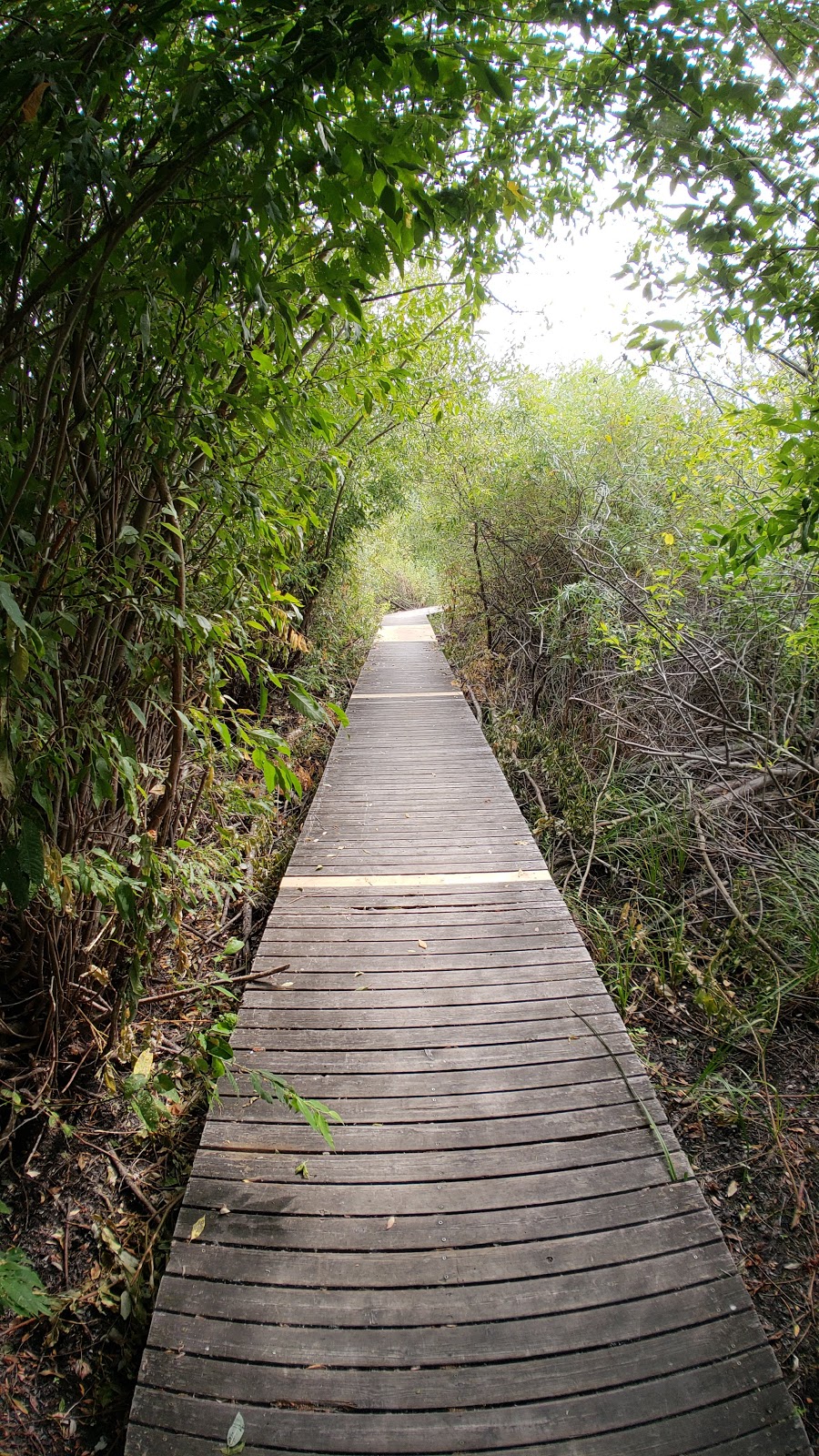 Vaseux Lake Bird Sanctuary | Okanagan Falls, BC V0H 1R0, Canada