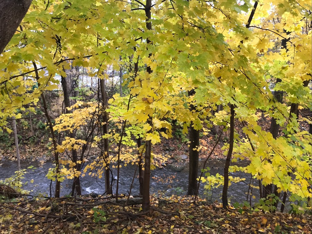 Chegwin Park | 23 Chegwin St, Dundas, ON L9H 2W4, Canada