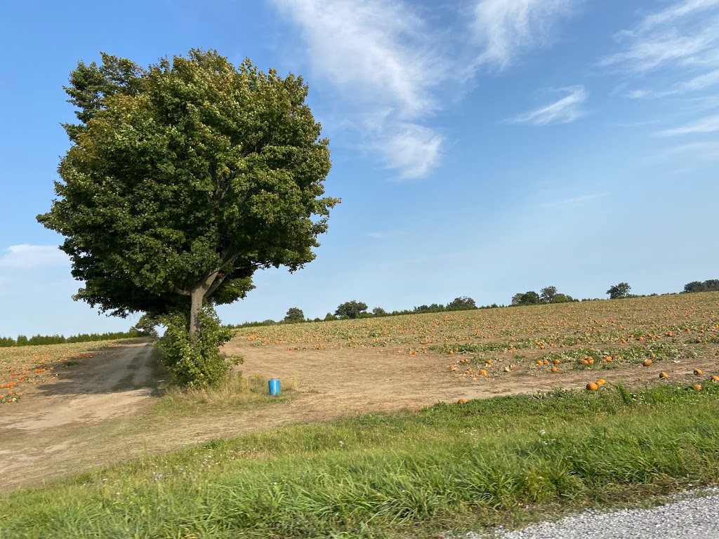 True Colours Farm | 939 Norfolk County Rd 19, Wilsonville, ON N0E 1Z0, Canada | Phone: (519) 443-0036