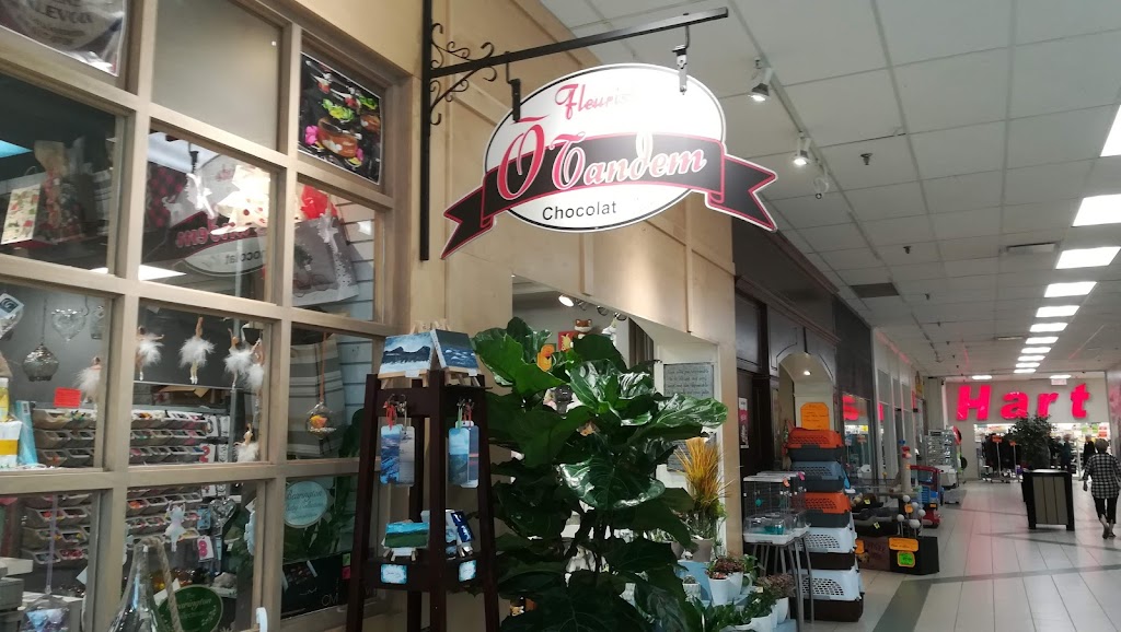 LE Centre Charlevoix | 375 Bd de Comporté, La Malbaie, QC G5A 1H9, Canada | Phone: (418) 665-6807