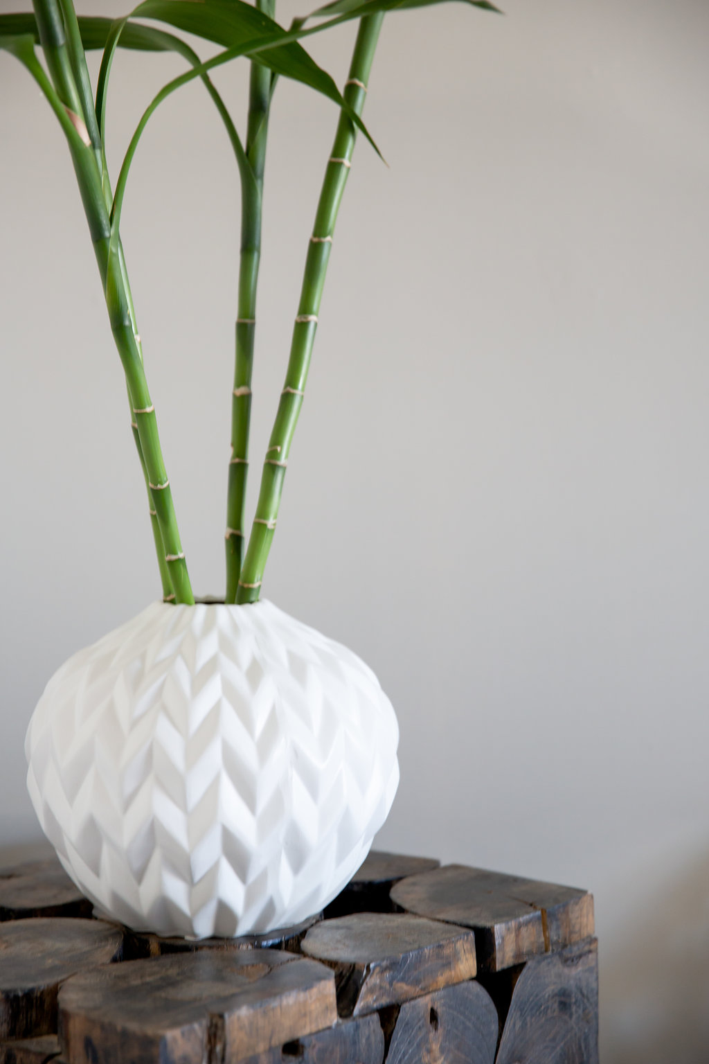 Healing Tree Wellness Centre | 3-390 Northmount Dr NW, Calgary, AB T2K 3H5, Canada | Phone: (587) 356-4325