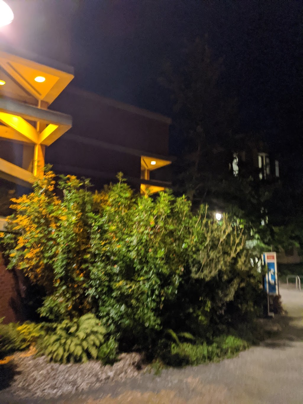 David Strong Building | 3800 Finnerty Rd, Victoria, BC V8P 5C2, Canada | Phone: (250) 721-7211