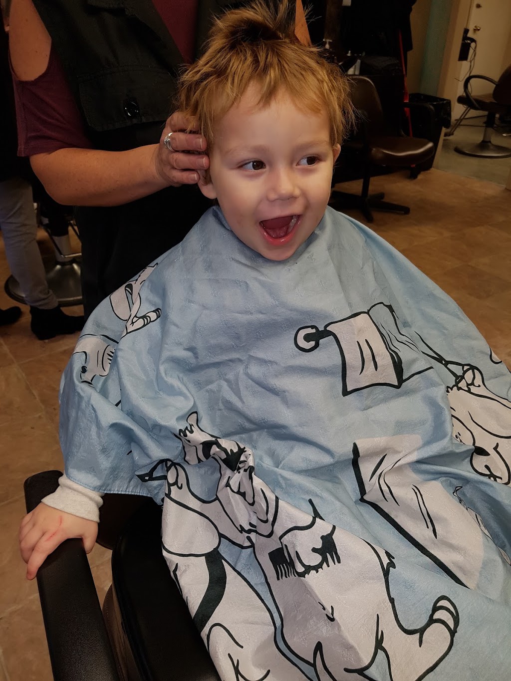 Shear Perfection Unisex Hairstyling | 80 Gibson St, Parry Sound, ON P2A 1X3, Canada | Phone: (705) 746-2624