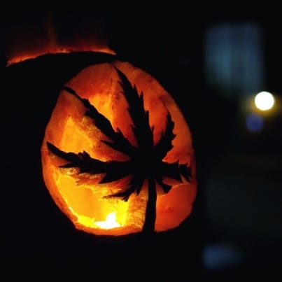 Grand Cannabis Dunnville | 217 Broad St E, Dunnville, ON N1A 1G1, Canada | Phone: (905) 863-1420