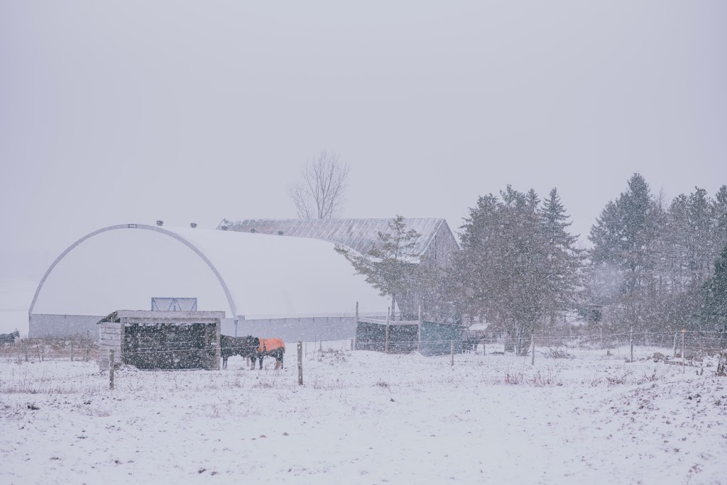 Run 2 You Stables | 1911 Erbs Rd, Baden, ON N3A 3M3, Canada | Phone: (519) 568-1471