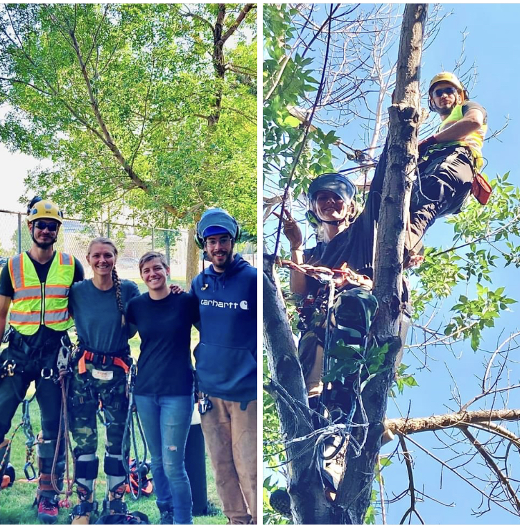 Tundra Tree Care | 1055 72 Ave NW, Calgary, AB T2K 5S4, Canada | Phone: (587) 888-6656