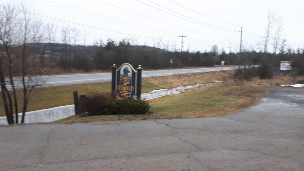 English Line Veterinary Services | 527 County Rd 38, Campbellford, ON K0L 1L0, Canada | Phone: (705) 653-4541