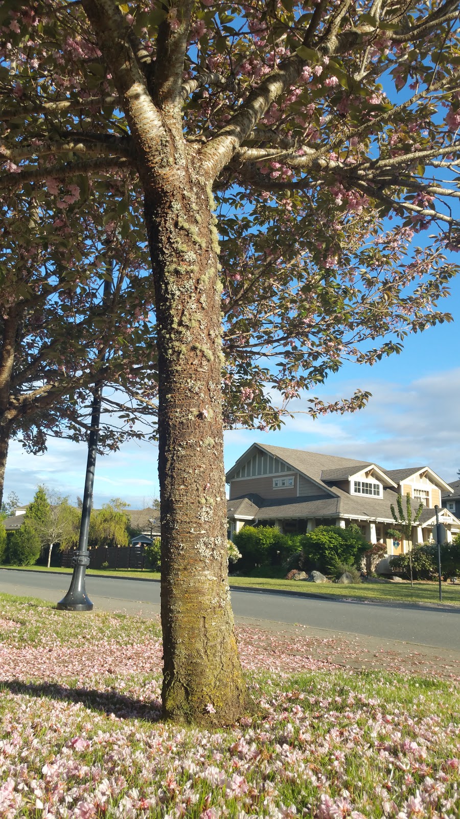 Sun River Estates Ltd | 2350 Sunriver Way, Sooke, BC V9Z 0Y4, Canada | Phone: (250) 642-2233