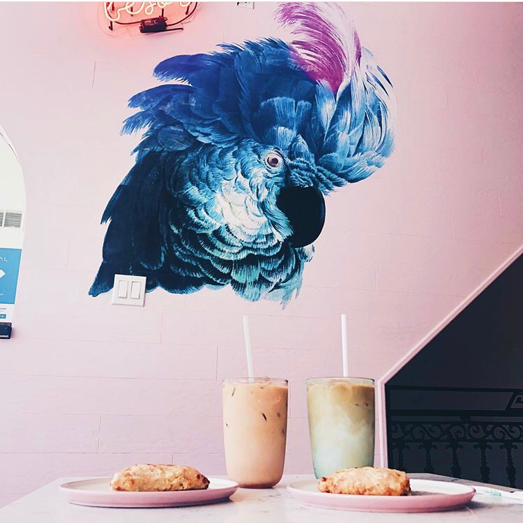Pomarosa Coffee Shop & Kitchen | 1504 Danforth Ave, Toronto, ON M4J 1N4, Canada | Phone: (416) 462-2945