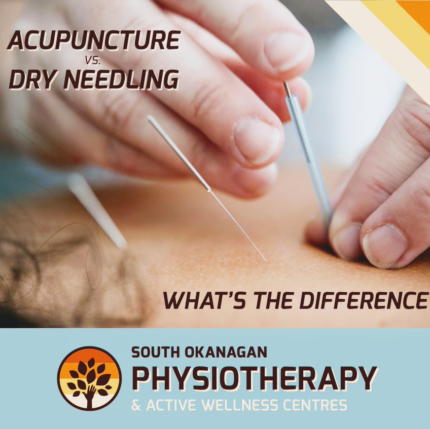 Grand Forks Physiotherapy & Active Wellness Centre | 7330 Riverside Dr #102, Grand Forks, BC V0H 1H0, Canada | Phone: (250) 442-2244