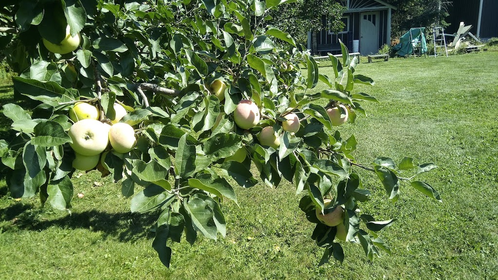 Mountain Stream Orchard | 271 Oliver Creek Rd, Neebing, ON P7L 0C4, Canada | Phone: (807) 473-0996