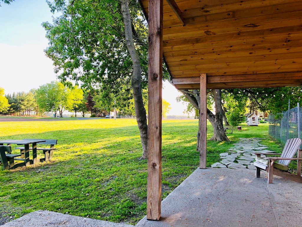 Chenil Hurle-Vent (Pension pour chiens / Dog boarding) | 197 Rang Saint-André, Saint-Bernard-de-Lacolle, QC J0J 1V0, Canada | Phone: (450) 246-2940