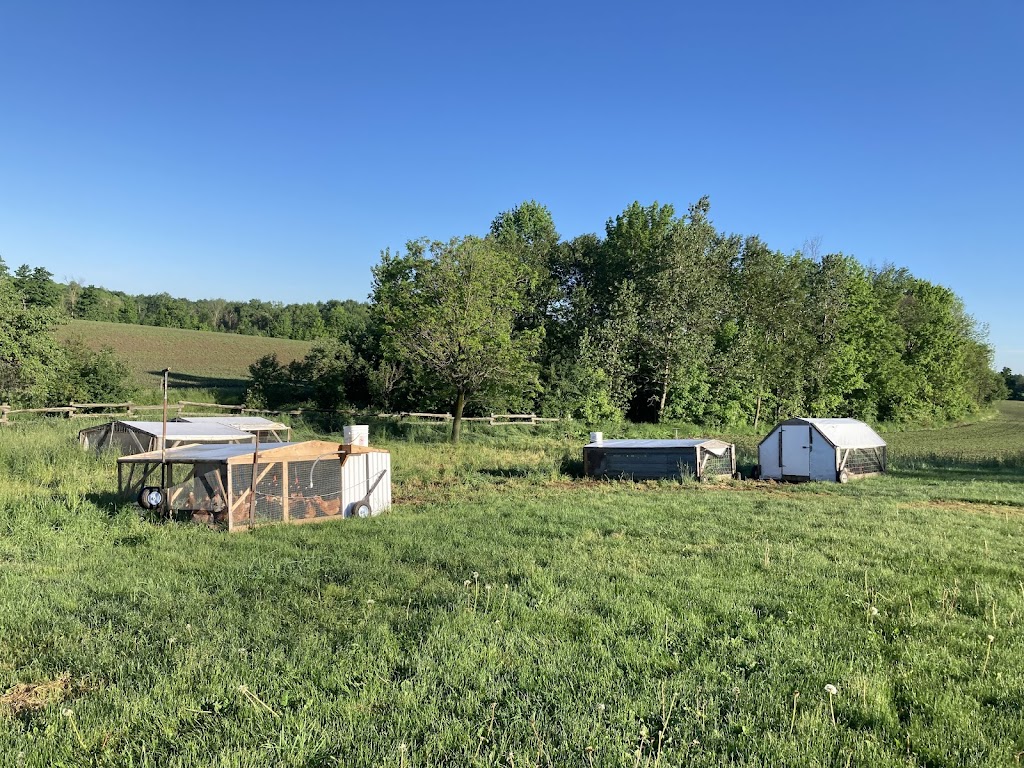 Meadow Song Acres | 8205 Line, 6, Kenilworth, ON N0G 2E0, Canada | Phone: (519) 998-8590