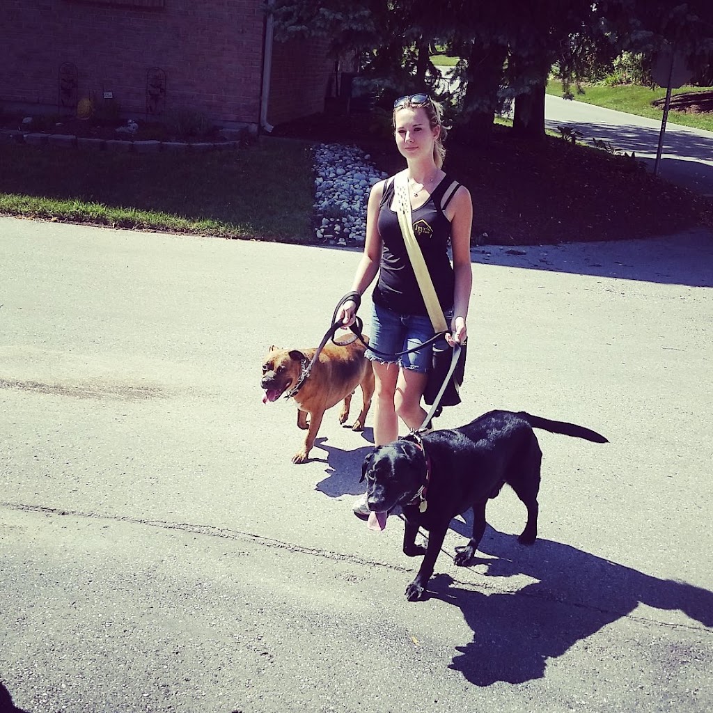 Jeves Pet Care Inc. | 236 Greenwood Ave, London, ON N6J 3G4, Canada | Phone: (519) 854-5383