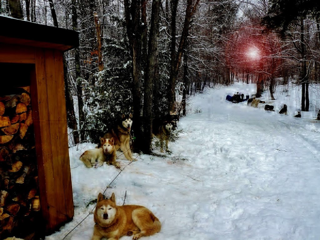Pourvoirie Mijocama | 250 ch du Lac Giles, Gracefield, QC J0X 1W0, Canada | Phone: (819) 449-8943