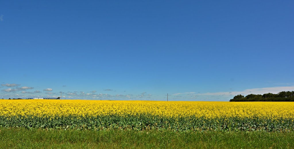 Village of Elbow | 201 Saskatchewan St, Elbow, SK S0H 1J0, Canada | Phone: (306) 854-2277