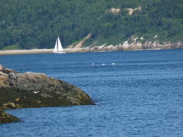 Gite Entre Mer et Monts | 476 QC-138, Saint-Siméon, QC G0T 1X0, Canada | Phone: (418) 237-4391