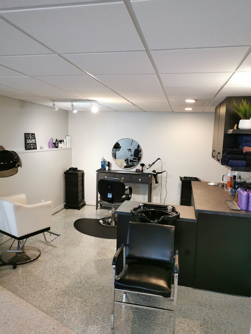 Shear Colour by BJ | 4408 51a St, Leduc, AB T9E 5B6, Canada | Phone: (780) 995-6080