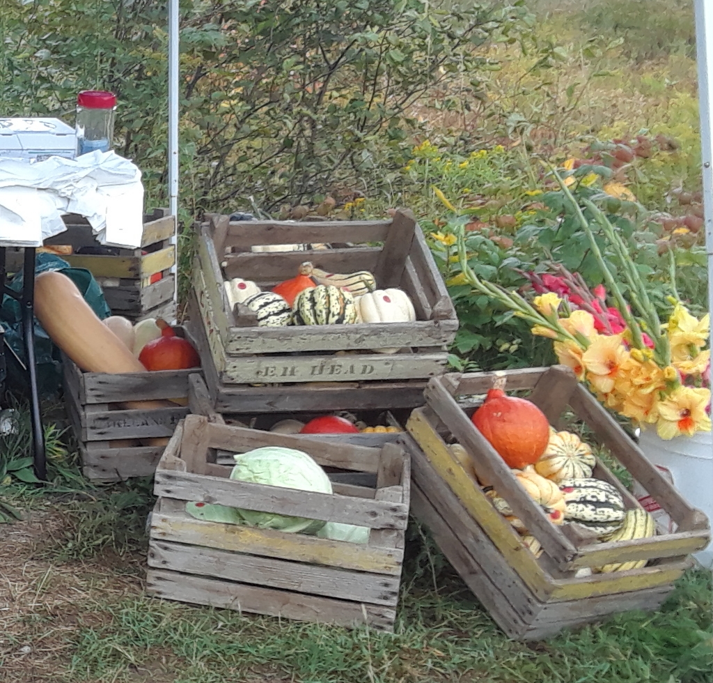 Noreens Fruitful Farm | 35029 Hwy 28 East, Bancroft, ON K0L 1C0, Canada | Phone: (613) 281-1868