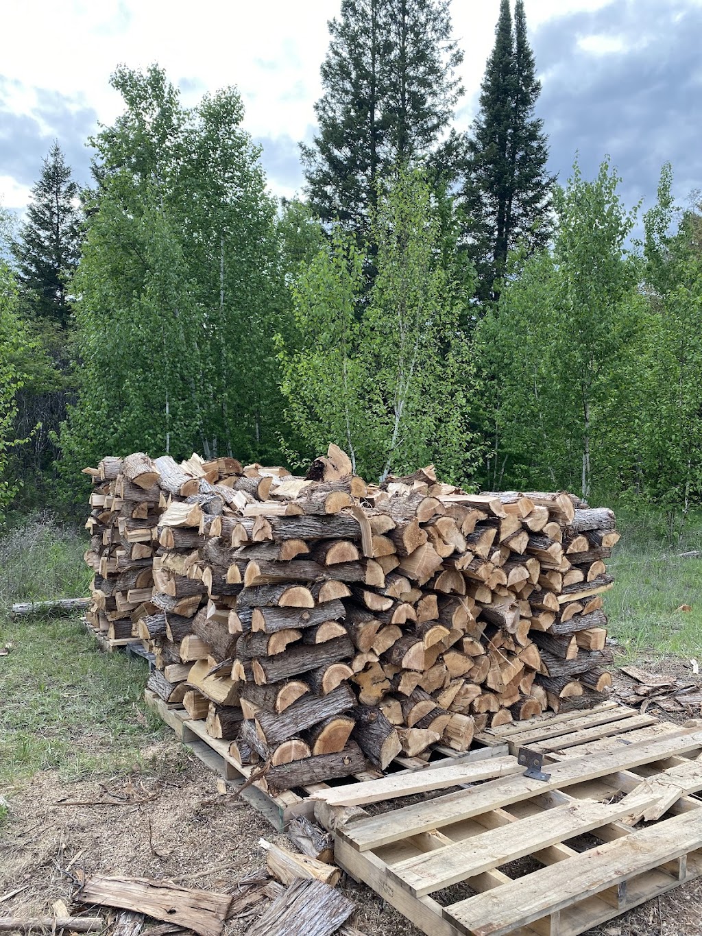 Andrews Forestry And Construction | McLarty Rd, Douglas, ON K0J 1S0, Canada | Phone: (613) 433-6644