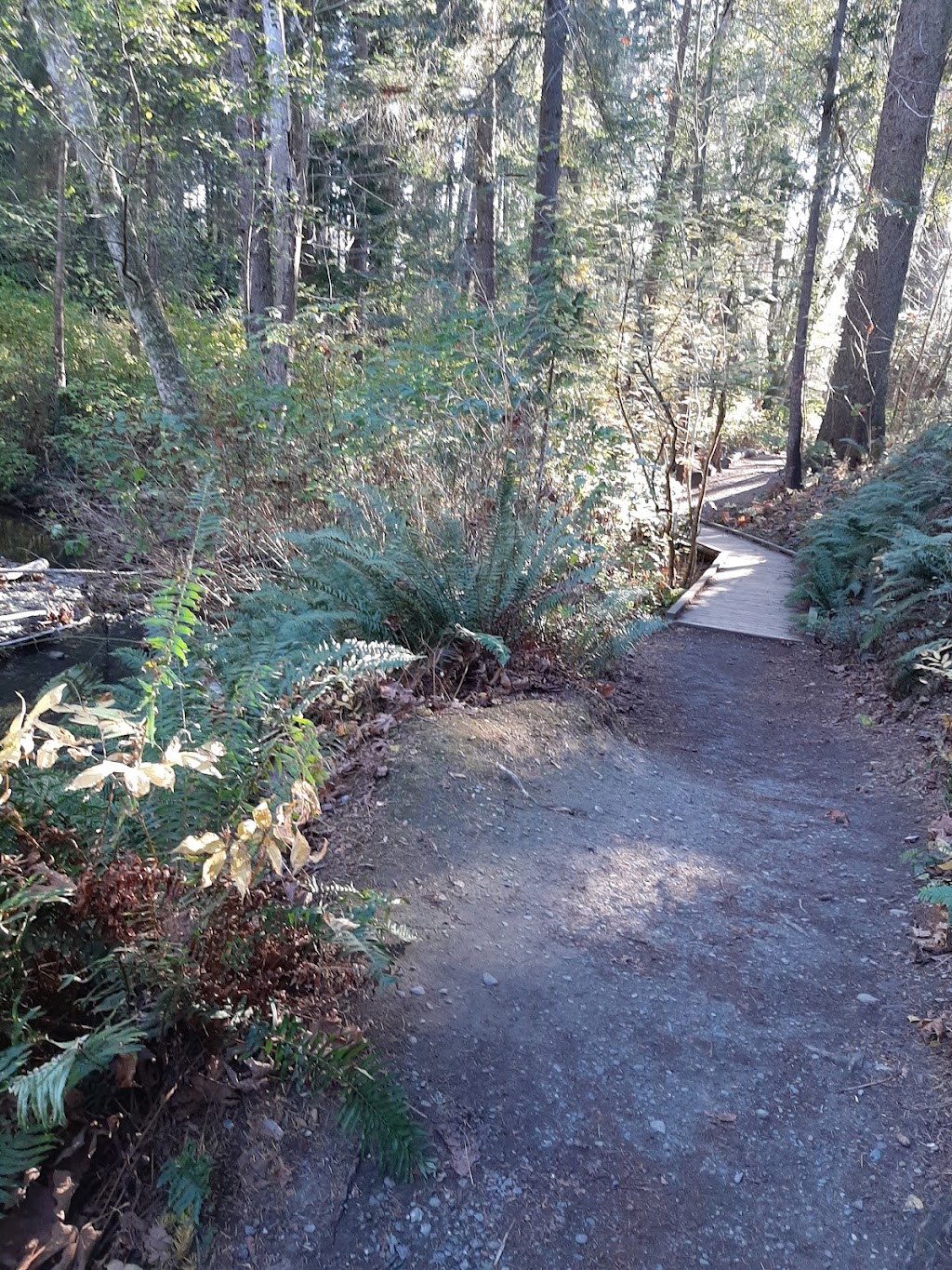 Mack Laing Nature Park | Comox Ave, Comox, BC V9M 2R8, Canada | Phone: (250) 339-2255