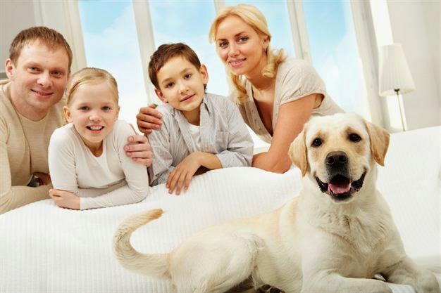 Bath Village Veterinary Services | 363 Main Street Bath, Bath, ON K0H 1G0, Canada | Phone: (613) 352-3333