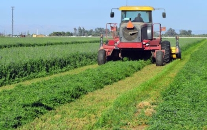 Sunshine Seeds Ltd | 223055 AB-5, Magrath, AB T0K 1J0, Canada | Phone: (403) 758-3444