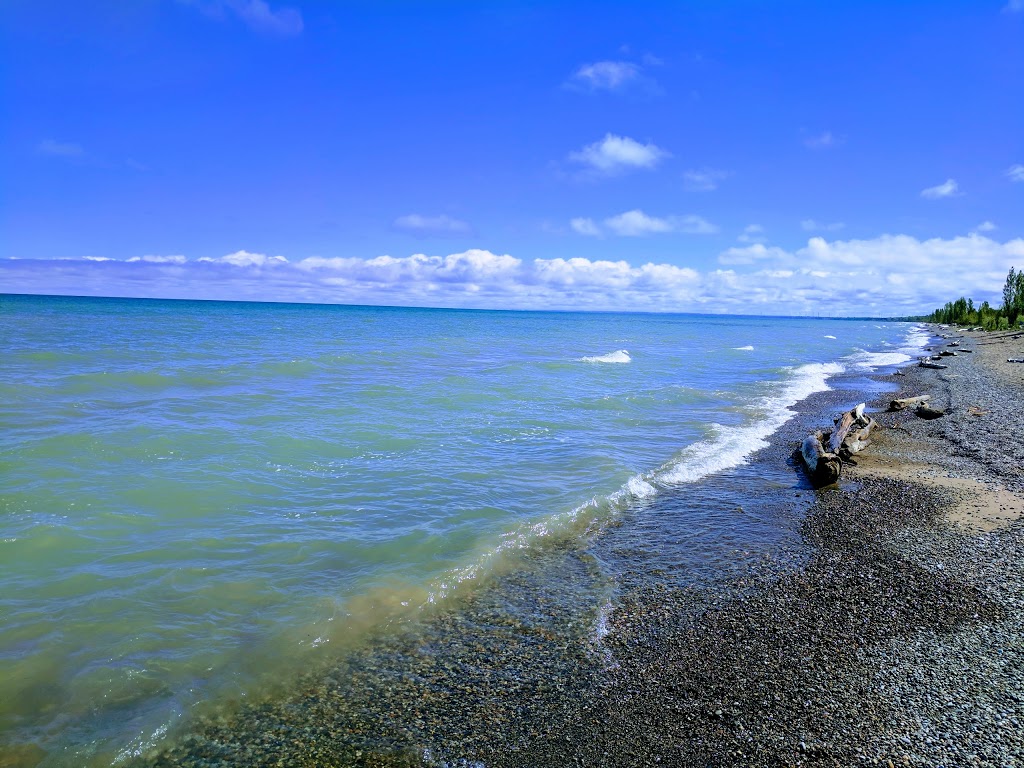Pinery Provincial Park | 9526 Lakeshore Rd, Grand Bend, ON N0M 1T0, Canada | Phone: (519) 243-2220