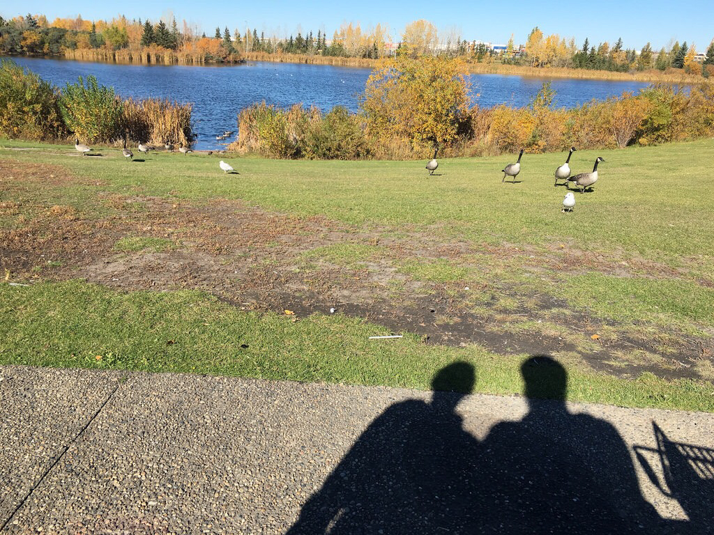Jackie Parker Park | 4540 50 St NW, Edmonton, AB T6L 6B6, Canada | Phone: (780) 442-5311