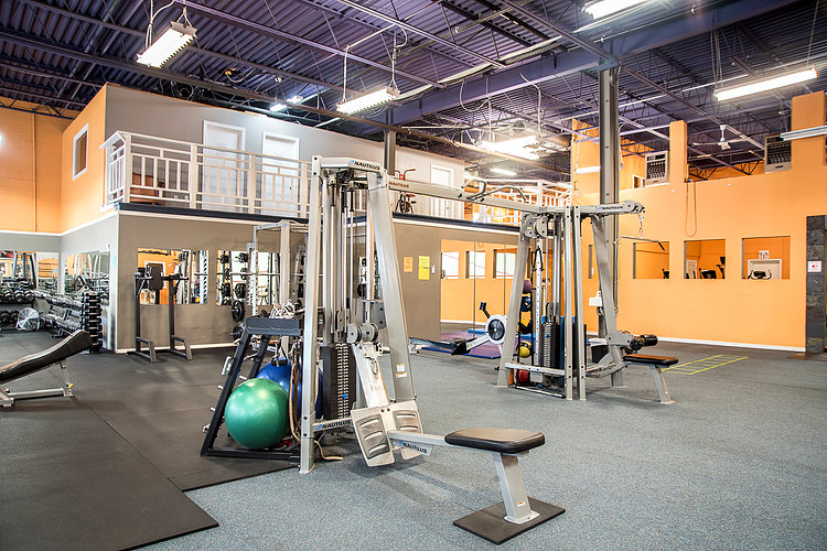 Collingwood Squash and Fitness Centre | 90 High St, Collingwood, ON L9Y 4K2, Canada | Phone: (705) 444-7824