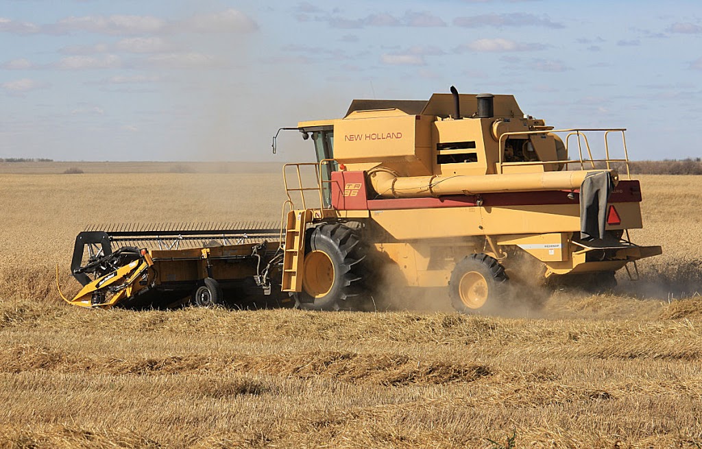 Delage Farms Ltd. | Indian Head, SK S0G 2K0, Canada | Phone: (306) 695-3959