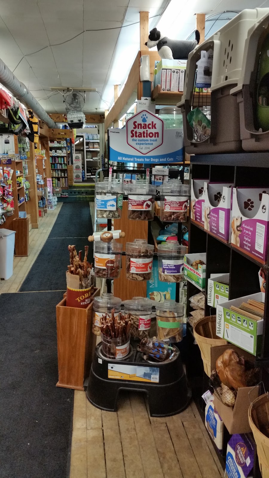 Stayner Pet Ctr | 7272 ON-26, Stayner, ON L0M 1S0, Canada | Phone: (705) 428-6668