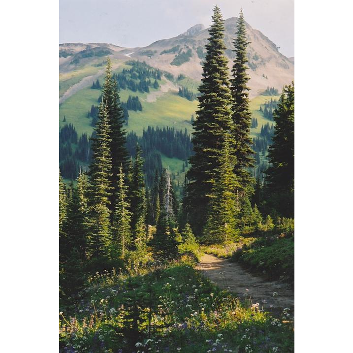 Calgary Narrative Therapy | 515 4 Ave NE, Calgary, AB T2E 0J9, Canada | Phone: (403) 926-9481