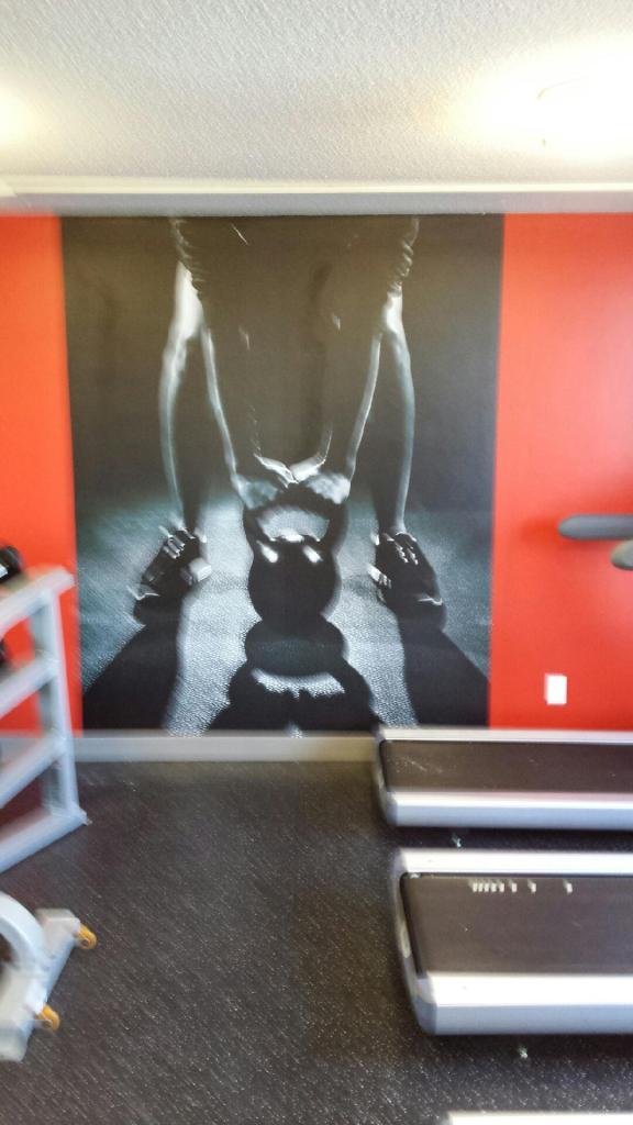 Wall to Cover Painting | 4242 Hickory Dr, Mississauga, ON L4W 1L2, Canada | Phone: (416) 710-9255